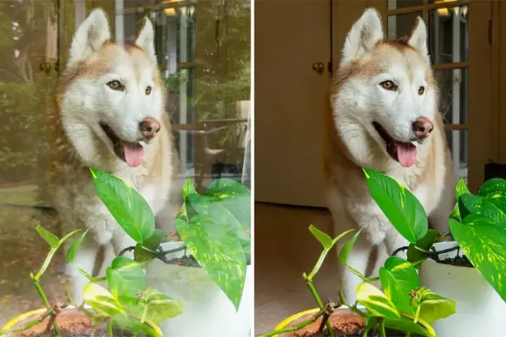 Adobe introduces a new tool to remove unwanted window reflections from photos