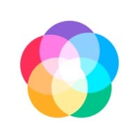 Senior UX/UI Designer