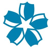UI/UX Designer